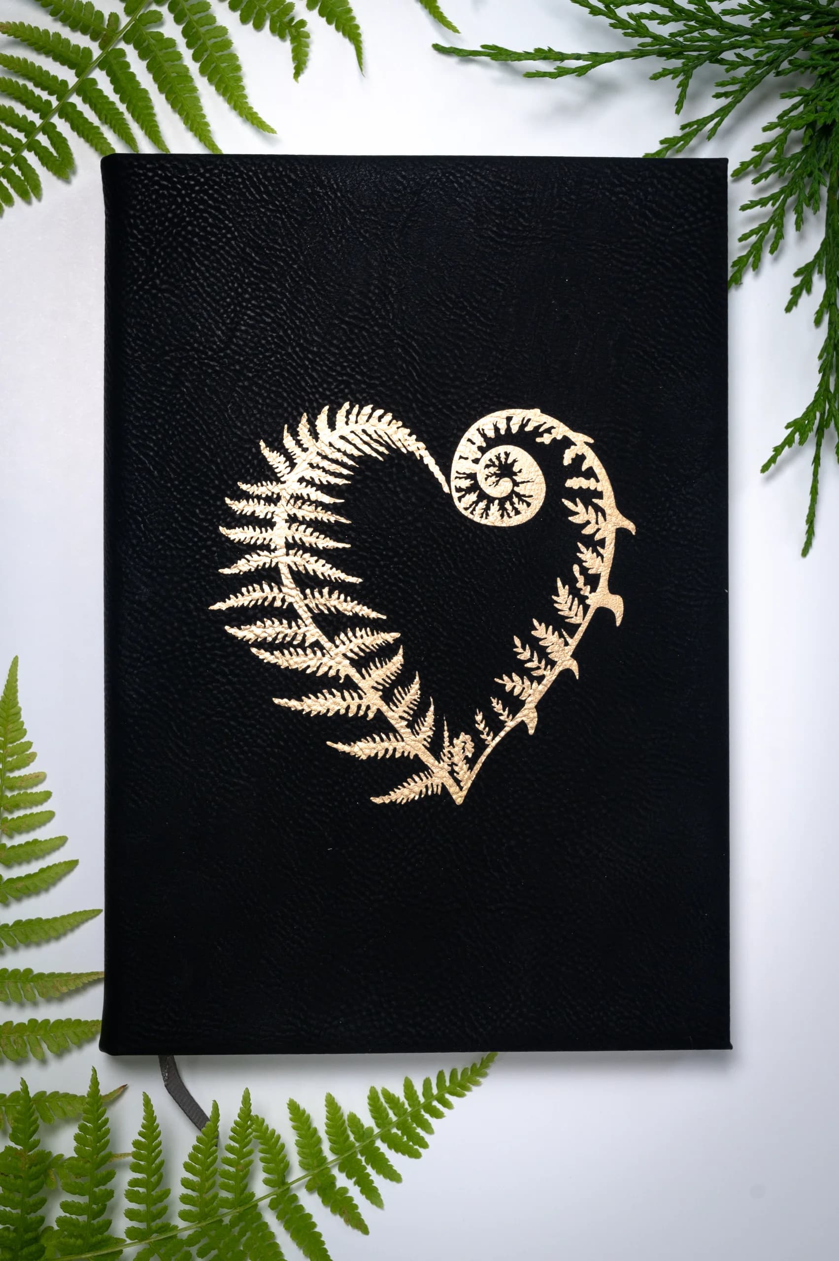West Coast Karma - Heart Fern Journal