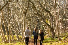 A Family, A Contest and Redwood Park
