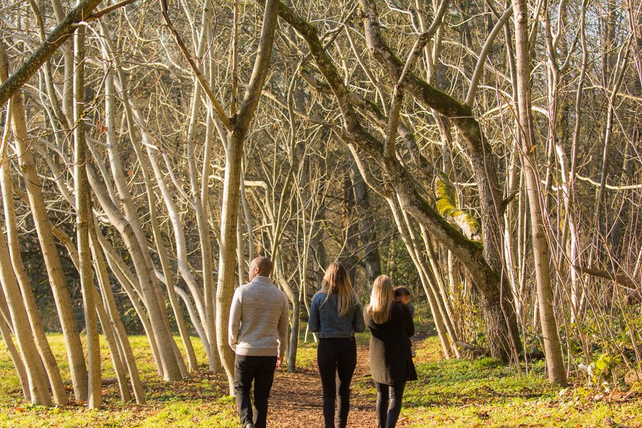 A Family, A Contest and Redwood Park 07